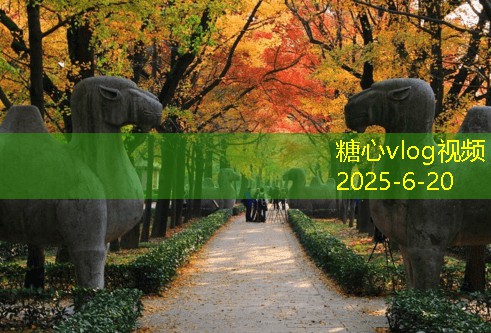 糖心vlog官方网站十月份旅游最佳去处推荐让你尽享秋季美景