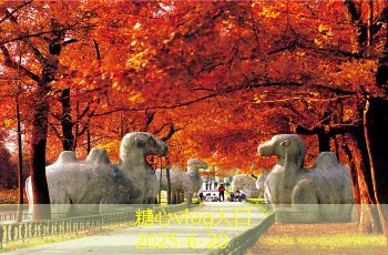 糖心vlog入口10月份旅游最好的地方推荐让你感受秋日魅力