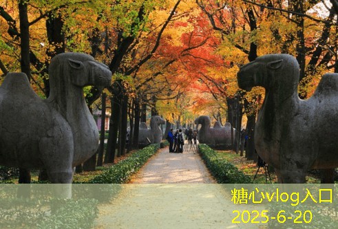 糖心vlog十月青岛旅游的最佳时机与独特魅力探秘
