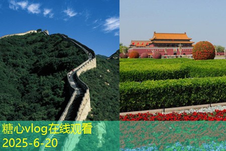糖心vlog官方网站一月份成都旅游攻略美食与景点完美结合的最佳体验