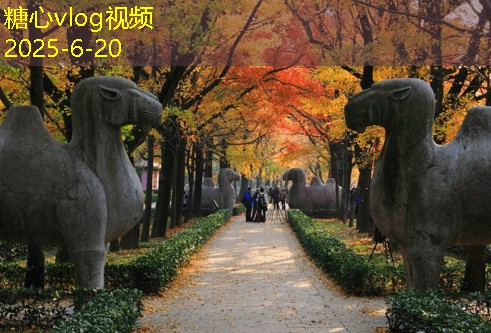 糖心vlog4月九寨沟旅游攻略尽享自然与人文之美