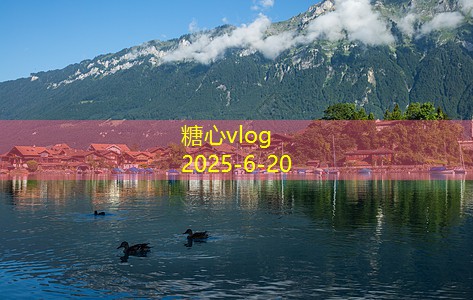 糖心vlog入口五日畅游成都完整攻略让你玩转这座美丽城市