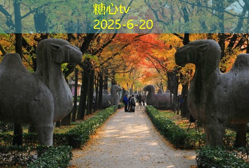 66号公路自驾游攻略全景体验与实用建议