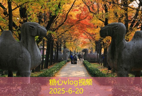 三亚旅游攻略必去景点推荐探秘阳光沙滩之旅