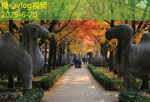 三明旅游景点推荐让你领略自然与人文的完美结合