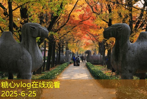 北京四天旅游攻略必去景点让你畅游魅力之都